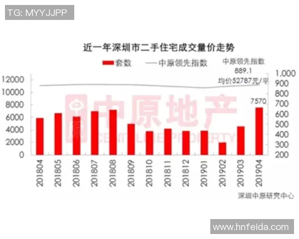 深圳排球队实力分析与表现评估的全面研究与探讨